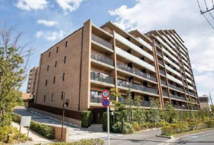 外観：313004629102