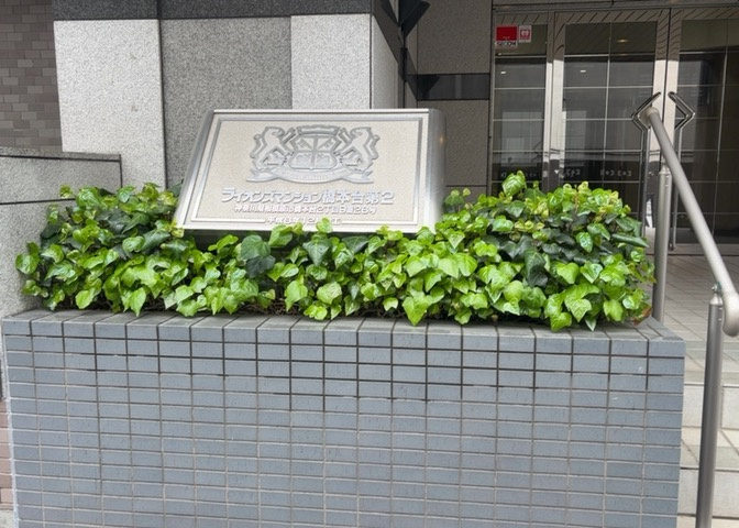 中庭（パティオ）とは、一つの建築物の内部に設けられた、壁などで囲われている庭のことを指します。コの字型、ロの字型が主流ですが、L字型の中庭もあります。最近では、インテリア性の高さからも人気があります。