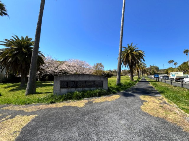 佐島の丘公園