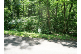 荘川ビレッジ②の外観