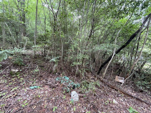 外観：328000359707