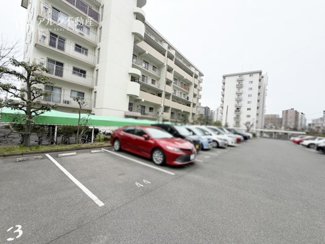 2026年2月撮影