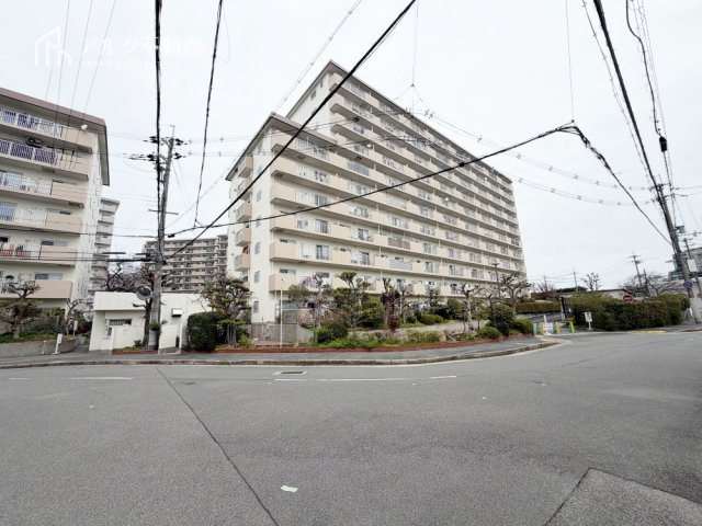 2026年2月撮影