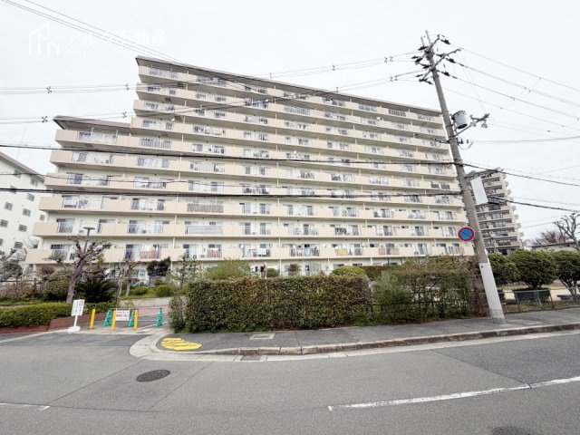 2026年2月撮影