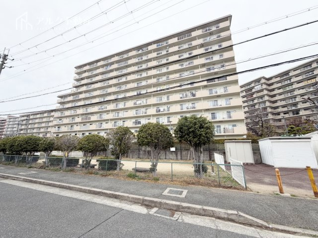 2026年2月撮影