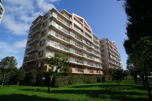 外観：312001114714