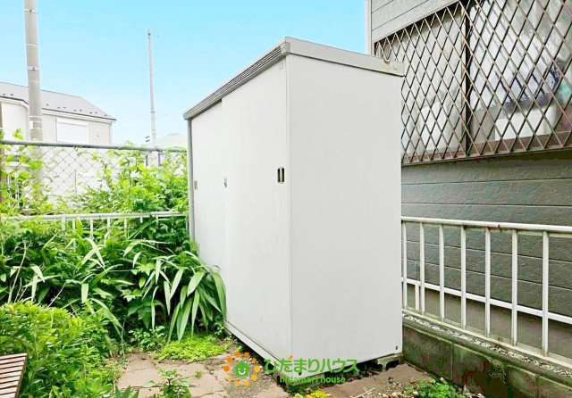 6月5日撮影