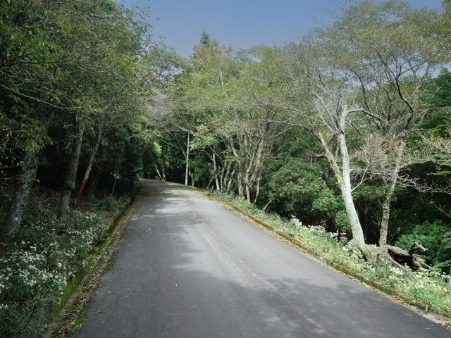 （南西側）