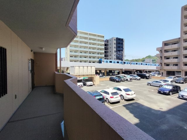 展望