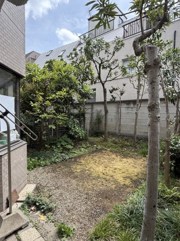 庭