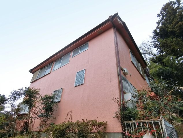外観：313004906555