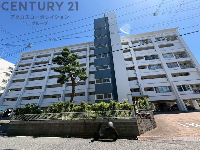 現況写真