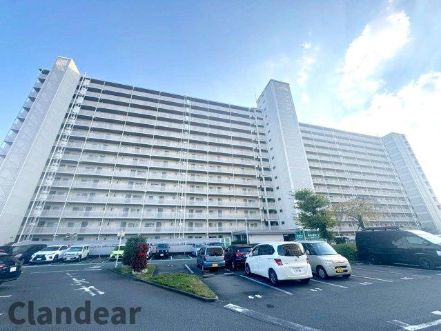 外観：313004520274