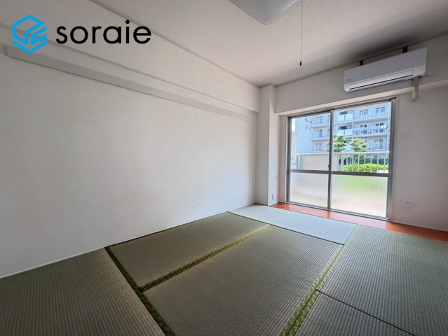 6/19撮影