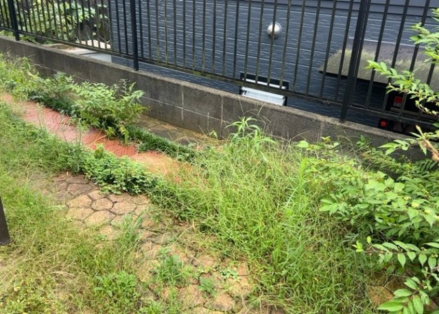 庭のある家に住むことのメリットとして、子どもたちの遊び場を確保できること、ガーデニングや家庭菜園を楽しめること、明るさを確保できることがあります。また、配置を工夫することでプライバシーが確保できます。