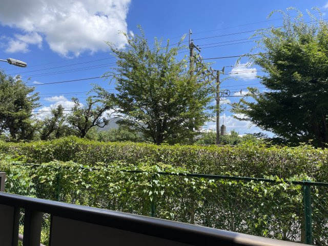 展望