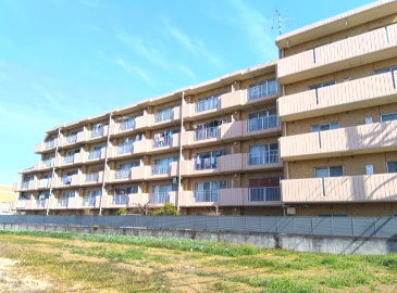 外観：313004662363