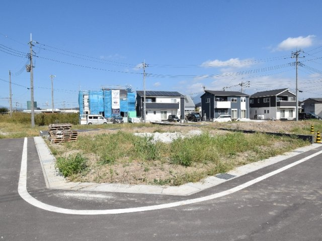 【8号地：現地写真】