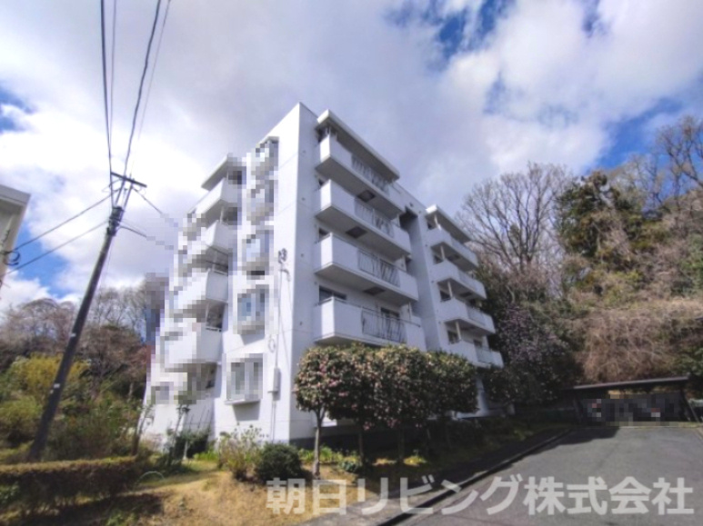 外観：313004297090