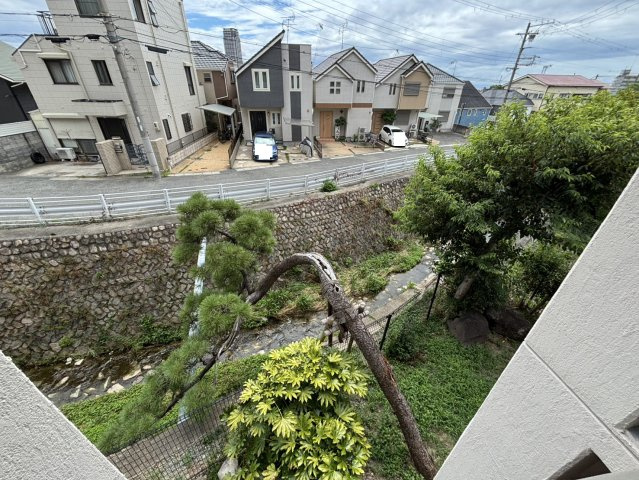 展望