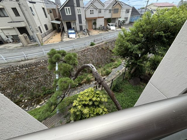 展望