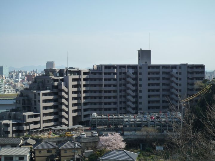 外観：334000276194