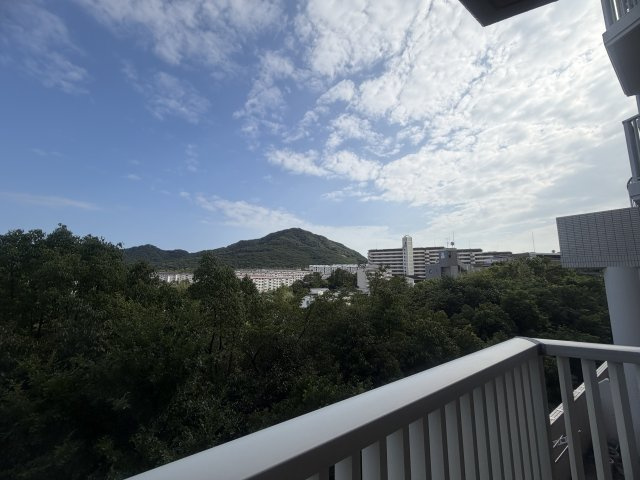 展望