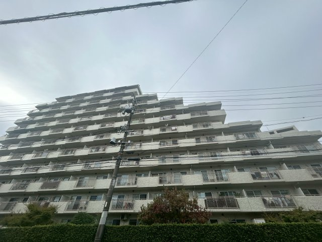 外観：323000540639