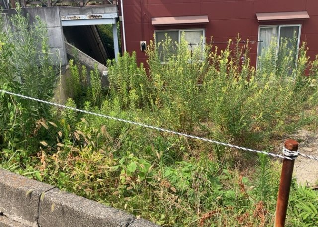 土地の形が極端に長細かったり、狭小地、あるいは道路との高低差がある傾斜地だった場合、後々売ろうとしても買い手がつかない場合もあります。後々、売却することになった時に価値の下がらない土地を選びましょう。