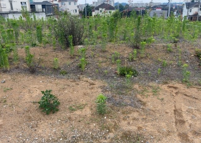 最寄り駅が近いなどの交通アクセスが良い土地だと暮らしやすいですよね。通勤・通学の観点から土地を選ぶことも大切です！自身や家族のライフワークからあったの物件を探しましょう！当社営業がお力になります！