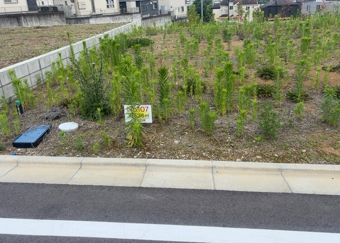土地の形が極端に長細かったり、狭小地、あるいは道路との高低差がある傾斜地だった場合、後々売ろうとしても買い手がつかない場合もあります。後々、売却することになった時に価値の下がらない土地を選びましょう。
