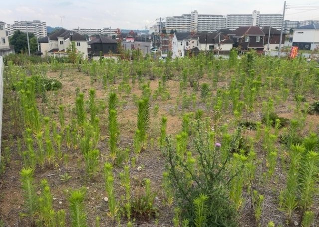 土地の面積＝住宅面積ではありません。建ぺい率の問題などで、土地のある場所によって住宅を建てられる面積は限られています。高さもしかり、「土地」という言葉の中には、建築条件も含まれると考えておきましょう。
