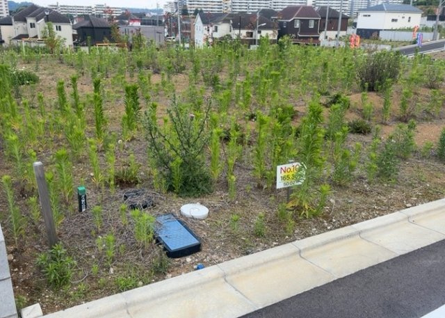土地を買う際、住む地域の自治体や福祉の補助制度にも注目してみましょう。子供や老人の医療補助やゴミ出しのルールなど、自治体によってルールに大きな違いがあるため、暮らしやすい土地で判断するとよいでしょう。