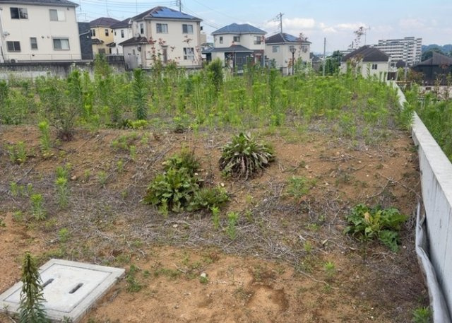 家を建てる前提で土地を探している場合、地盤の丈夫さは譲れない条件の一つです。地盤が脆弱だと追加工事が必要となります。また、過去に地盤沈下や液状化現象を起こした土地は、できるだけ避けた方がいいでしょう。