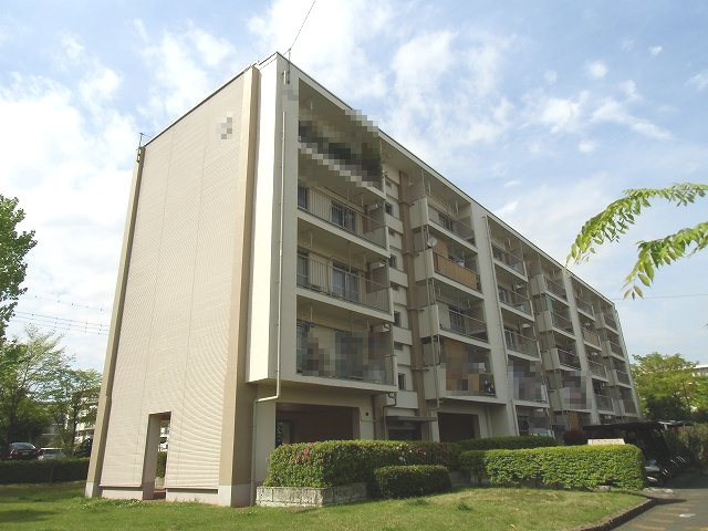 外観：313004282826