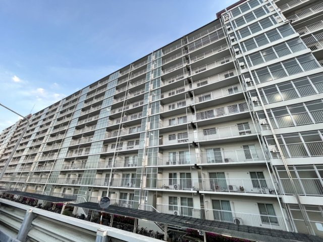 外観：312001268769