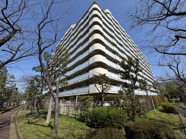 外観：313004780239