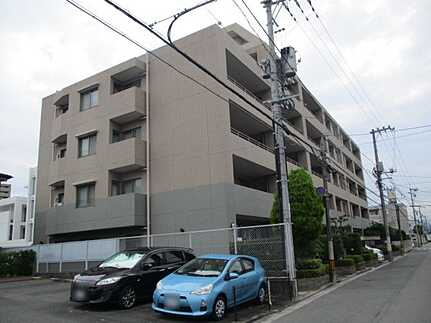 外観：334000239168