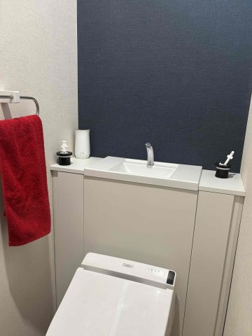 タンク隠ぺい型の室内スッキリトイレです。