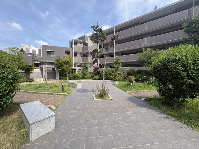 庭