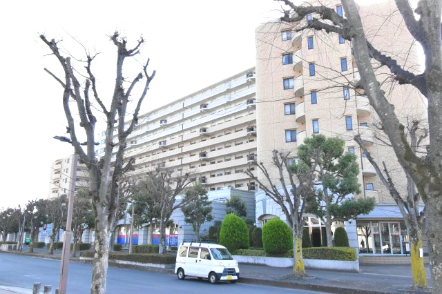 外観：311002272782