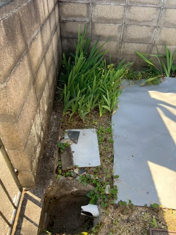 敷地内　南西側