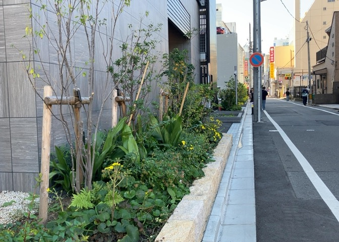 中庭（パティオ）とは、一つの建築物の内部に設けられた、壁などで囲われている庭のことを指します。コの字型、ロの字型が主流ですが、L字型の中庭もあります。最近では、インテリア性の高さからも人気があります。