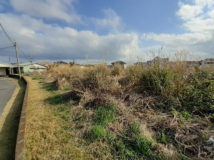 外観：346000032338