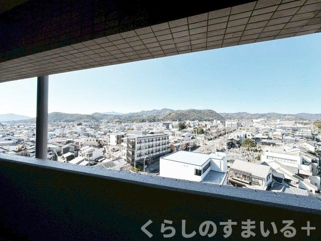 展望
