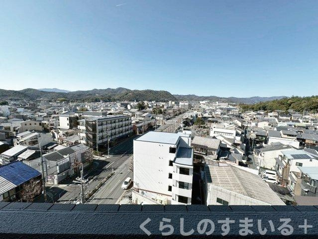 展望