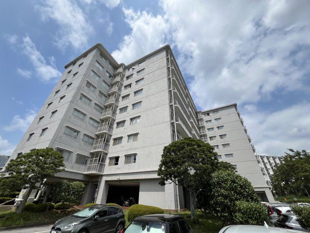 外観：312001196544