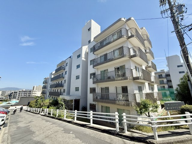 外観：323000488673