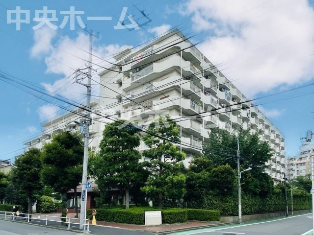 外観：313004686047