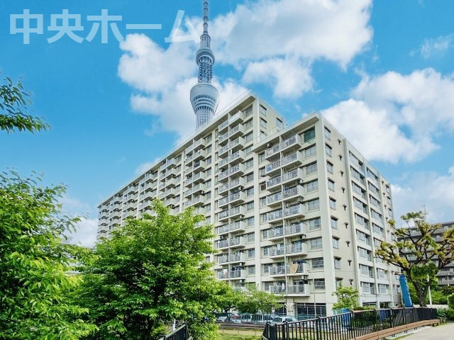 外観：313004765379